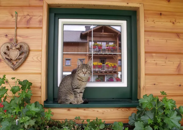 Apartment Bacherhof *