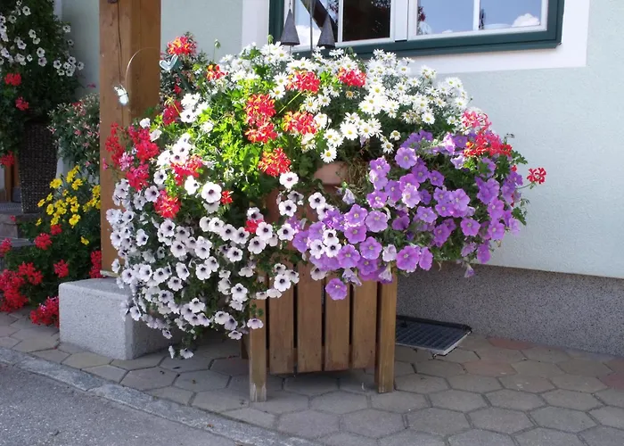 Bacherhof Шладминг