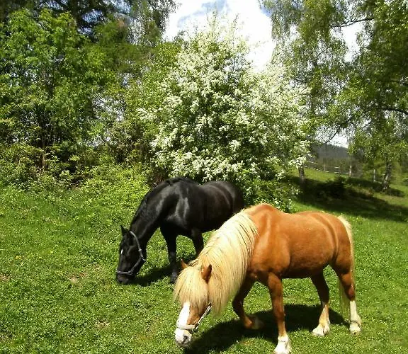 Apartamento Bacherhof